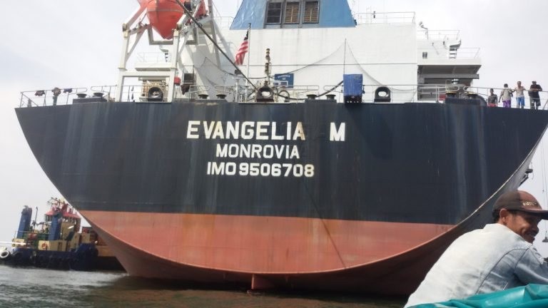 Mining fleet at the Seluma Prima concession